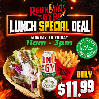 POS Gyro on pita with fries and a can of soda