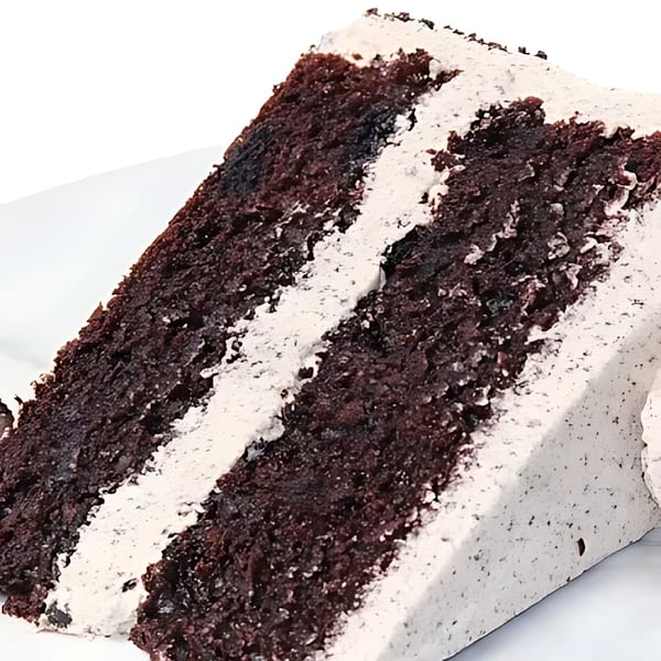 A close-up of a slice of chocolate cake with white frosting layers on a white plate.